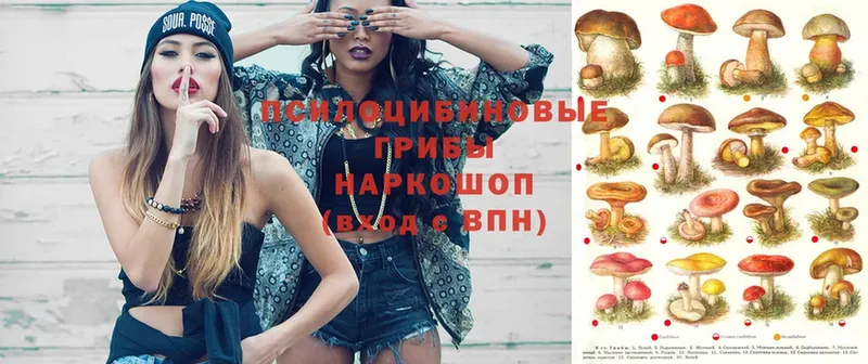 Галлюциногенные грибы Magic Shrooms  купить наркотик  Рыбинск 